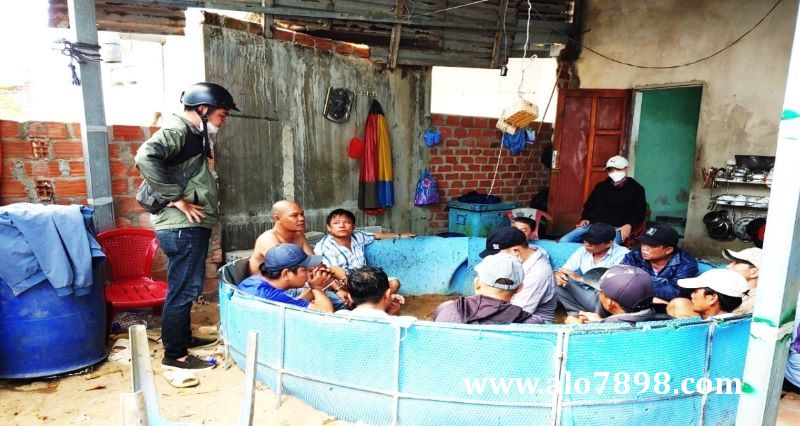 Hoạt động đá gà diễn ra mỗi ngày tại xã Giai Xuân, huyện Phong Điền